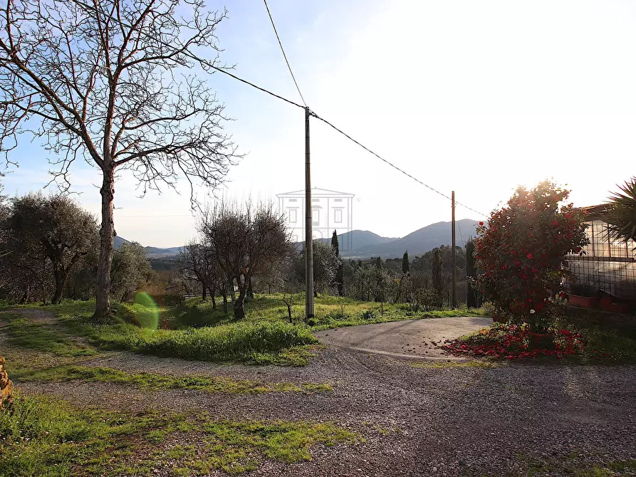 Immagine 13 di Rustico / casale in vendita  in Traversa V Via della Pieve Santo Stefano a Lucca