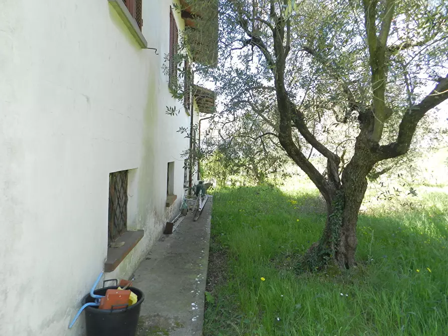 Immagine 26 di Rustico / casale in vendita  in Via del Marginone a Montecarlo