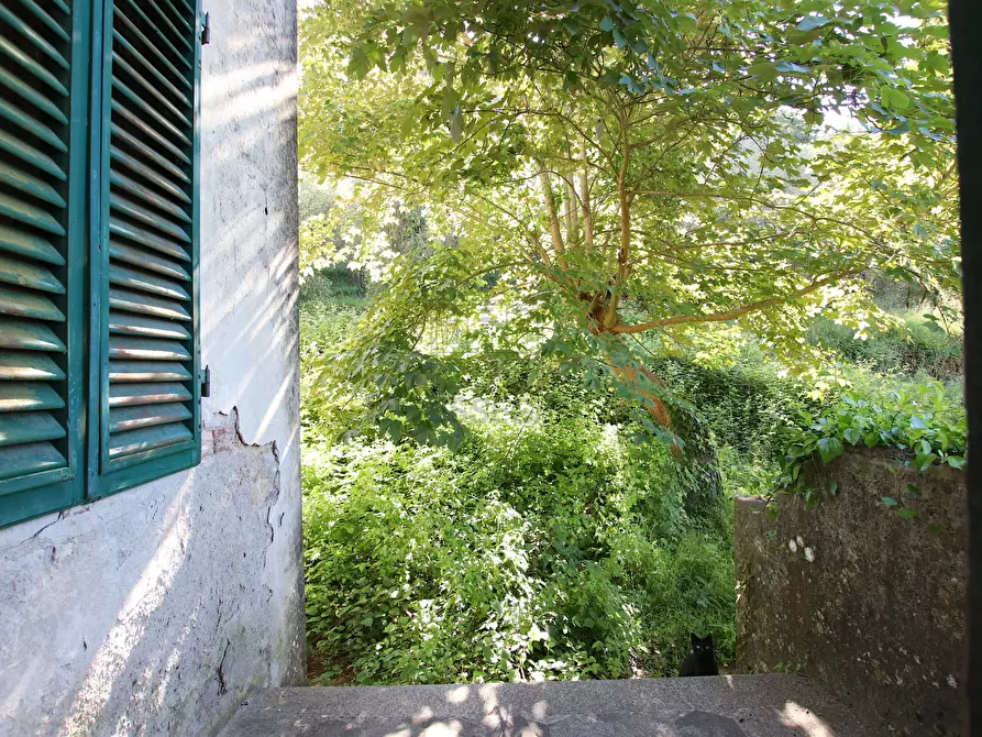 Immagine 23 di Rustico / casale in vendita  in Guamo 34A a Capannori