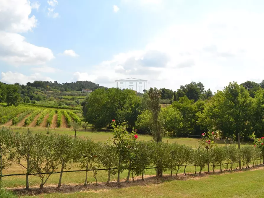 Immagine 11 di Rustico / casale in vendita  in via di san martino a Lucca