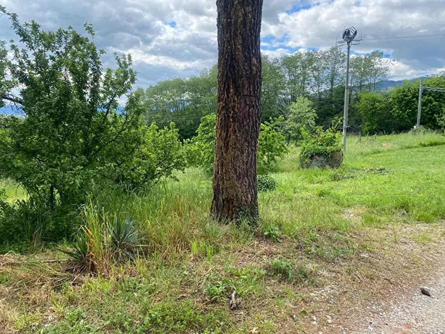 Immagine 21 di Rustico / casale in vendita  in Via di Palmata 425 a Lucca