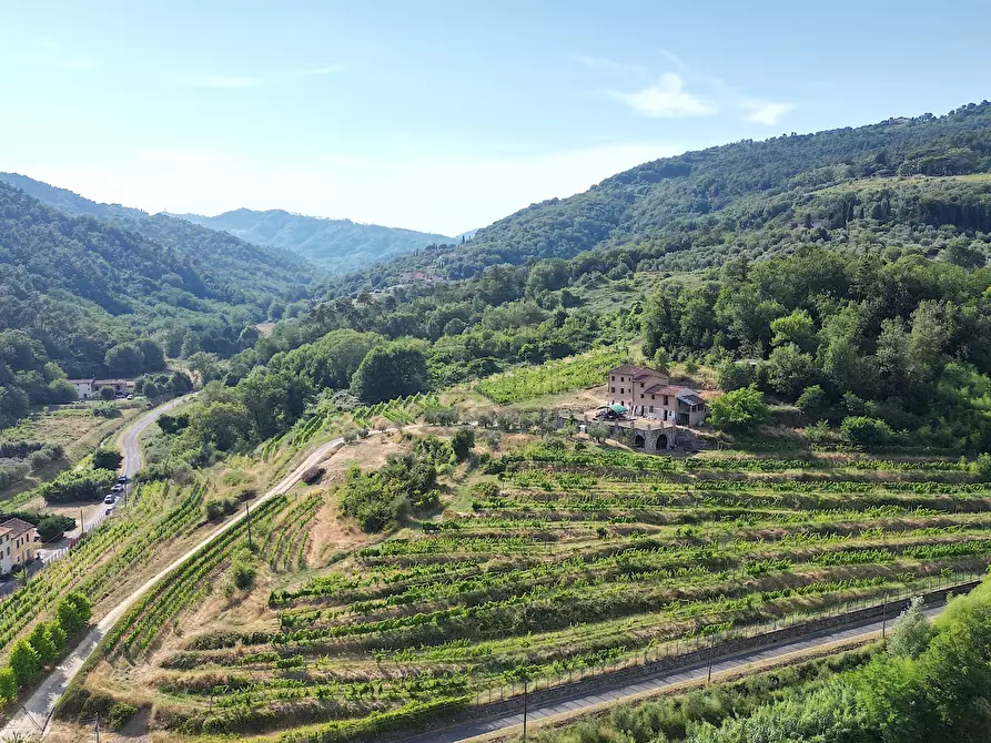 Immagine 2 di Rustico / casale in vendita  in Via del Francia 95 a Lucca