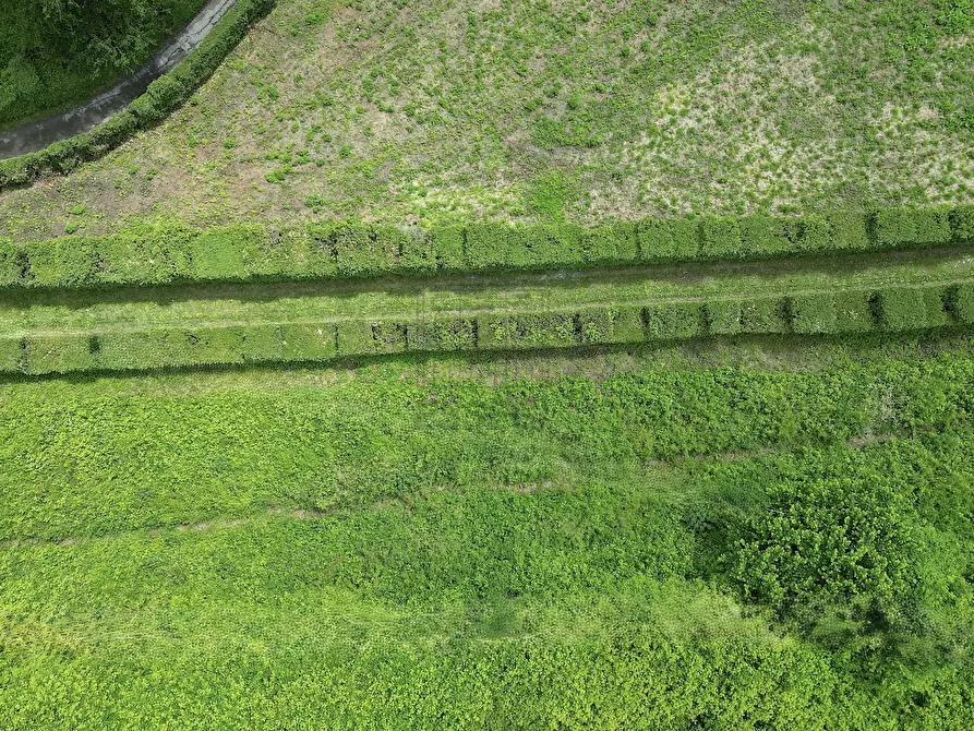 Immagine 6 di Villa in vendita  in via Colli 23 a Pescaglia