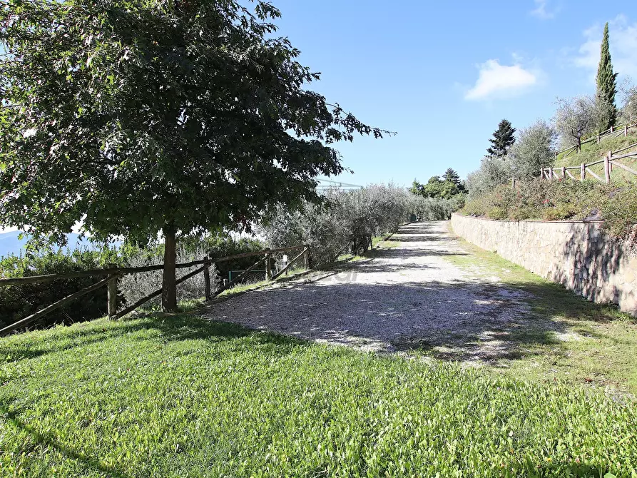 Immagine 23 di Rustico / casale in vendita  in Via Pieve di Brancoli 1586 a Lucca