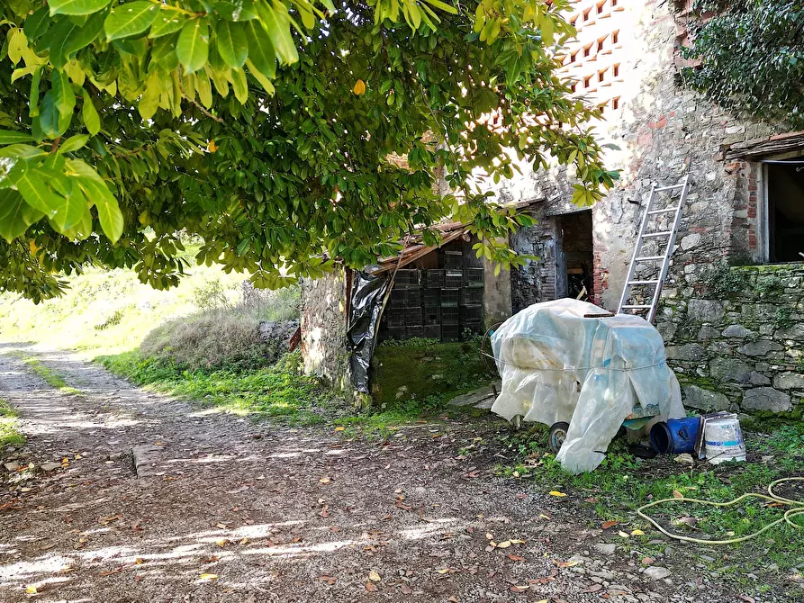 Immagine 9 di Rustico / casale in vendita  in via del brennero 1950 a Lucca