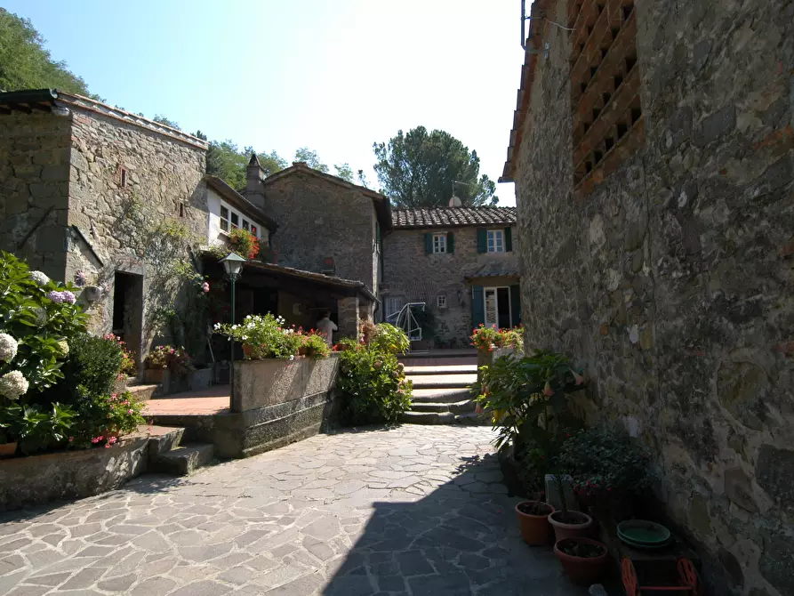 Immagine 44 di Rustico / casale in vendita  a Capannori