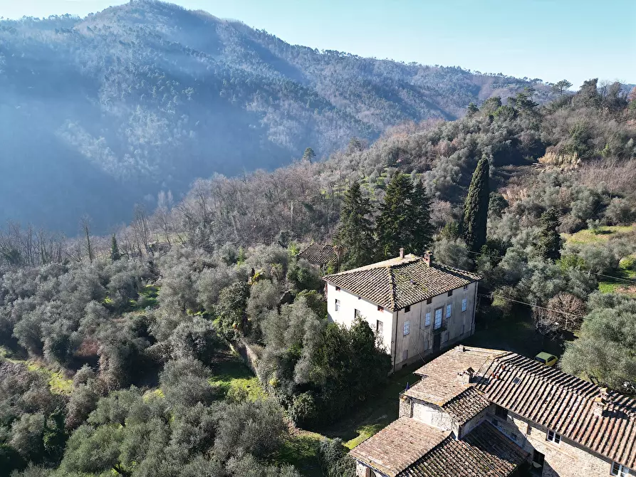 Immagine 2 di Villa in vendita  in Via del Macennere 8252/A a Lucca
