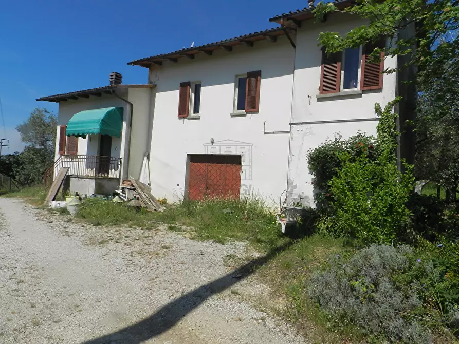 Immagine 25 di Rustico / casale in vendita  in Via del Marginone a Montecarlo