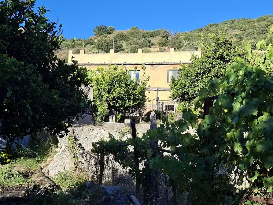 Immagine 1 di Casa trifamiliare in vendita  in Via Paterriti 19 a Motta San Giovanni