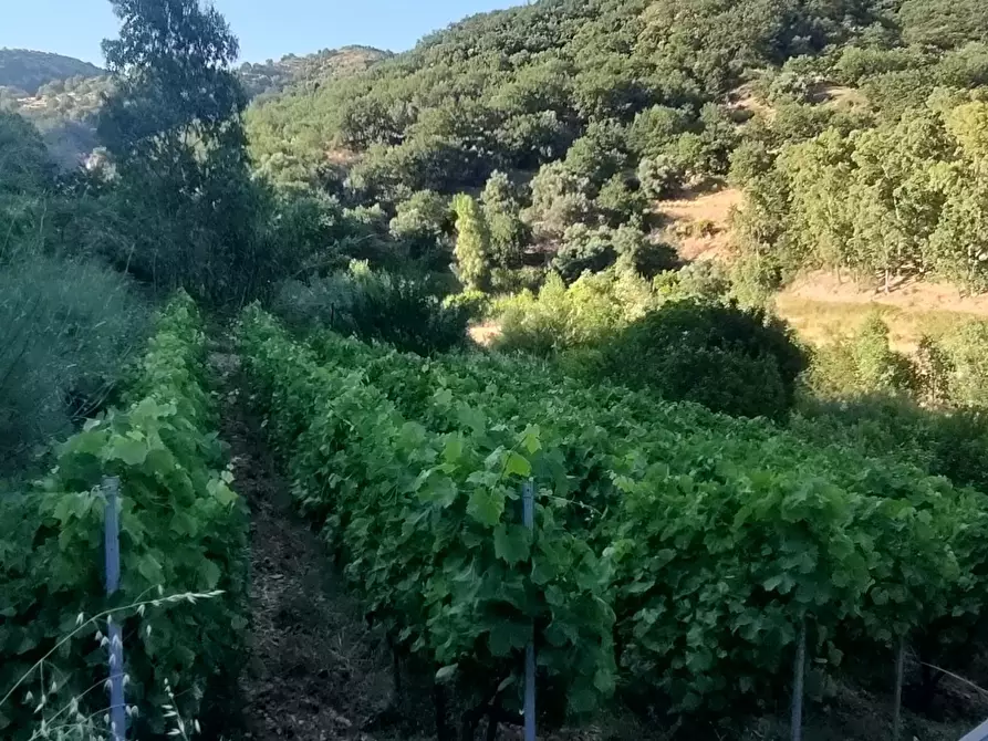 Immagine 10 di Casa indipendente in vendita  in Via San Sebastiano 11 a Palizzi