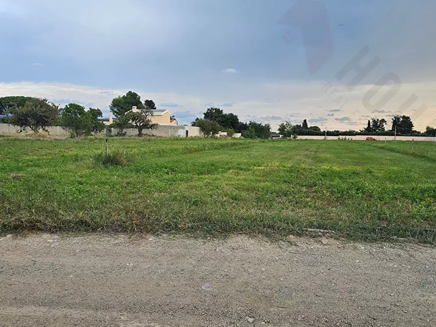Immagine 6 di Terreno agricolo in vendita  in Strada Comunale Buon Cammino a Quartu Sant'elena