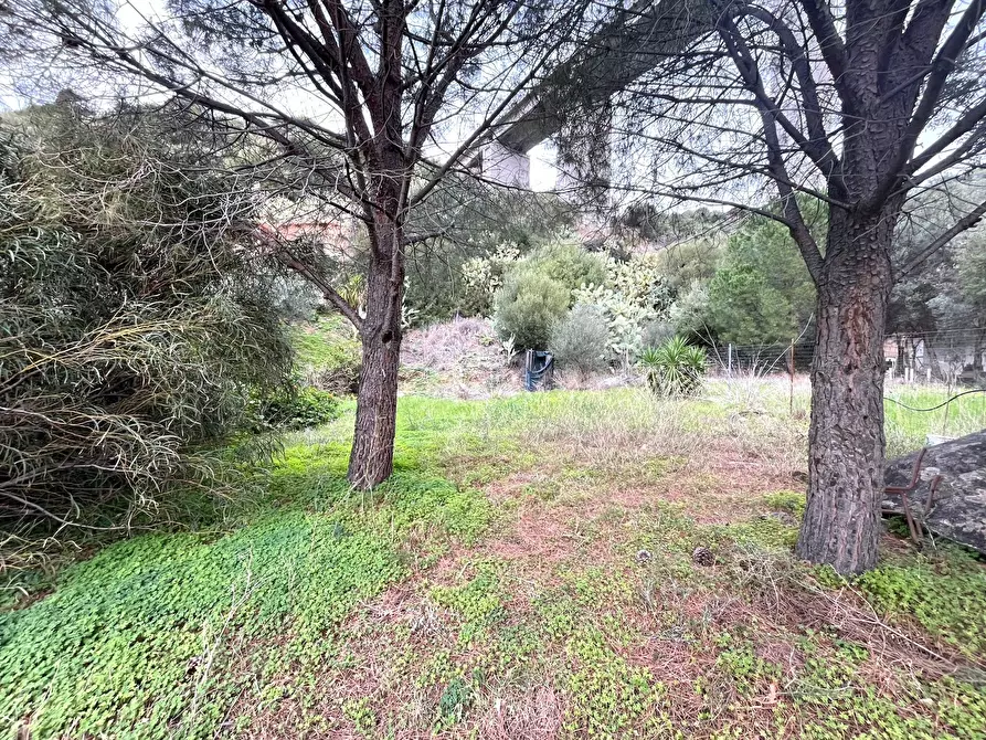 Immagine 3 di Terreno agricolo in vendita  in Via dei Mandorletti a Maracalagonis