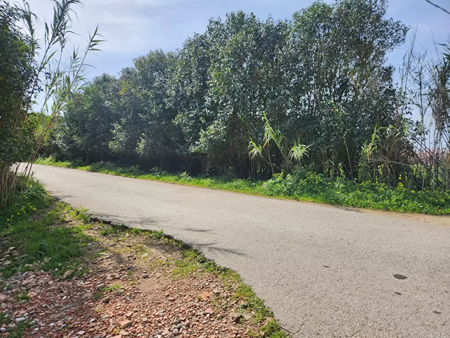 Immagine 5 di Terreno agricolo in vendita  a San Sperate