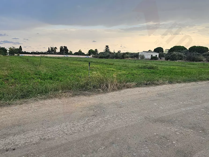 Immagine 4 di Terreno agricolo in vendita  in Strada Comunale Buon Cammino a Quartu Sant'elena