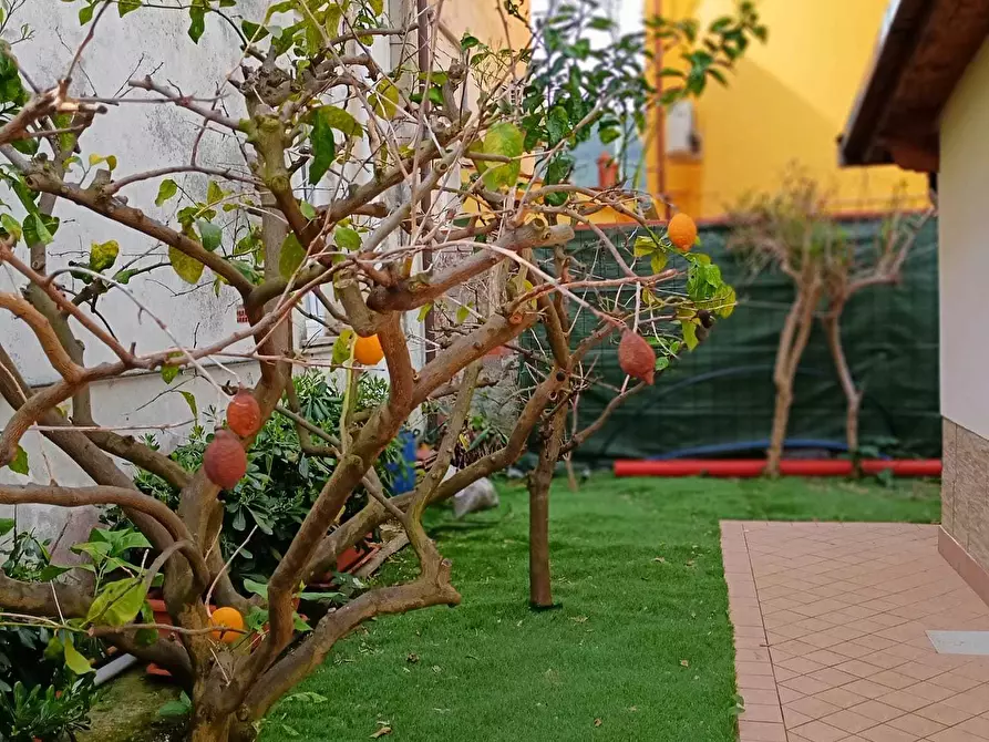 Immagine 38 di Casa semindipendente in vendita  a Ameglia