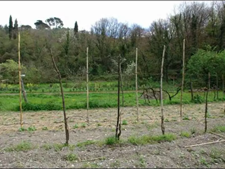 Immagine 5 di Terreno agricolo in vendita  a Fosdinovo