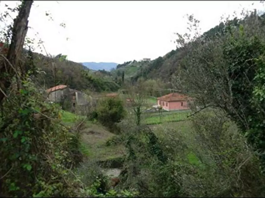 Immagine 8 di Terreno agricolo in vendita  a Fosdinovo