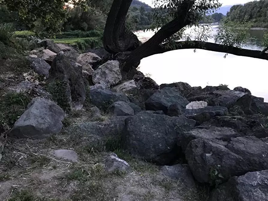 Immagine 1 di Terreno agricolo in vendita  a Arcola