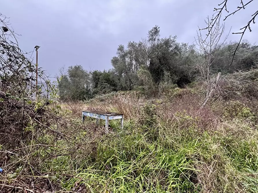 Immagine 66 di Villa in vendita  a Castelnuovo Magra