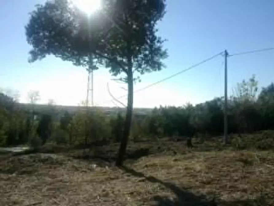 Immagine 2 di Terreno edificabile in vendita  a Ortonovo