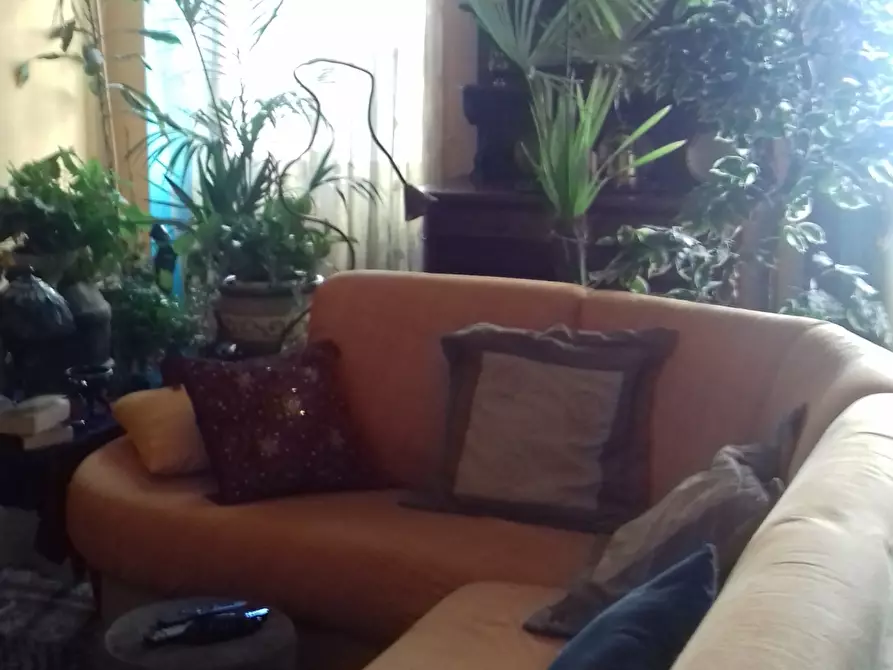 Immagine 10 di Appartamento in vendita  in VIA ROSSI a Sarzana