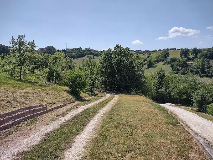Immagine 21 di Casa indipendente in vendita  in Via Palazzi 8 a Cupramontana