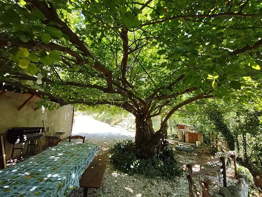 Immagine 27 di Casa indipendente in vendita  in Via Palazzi 8 a Cupramontana