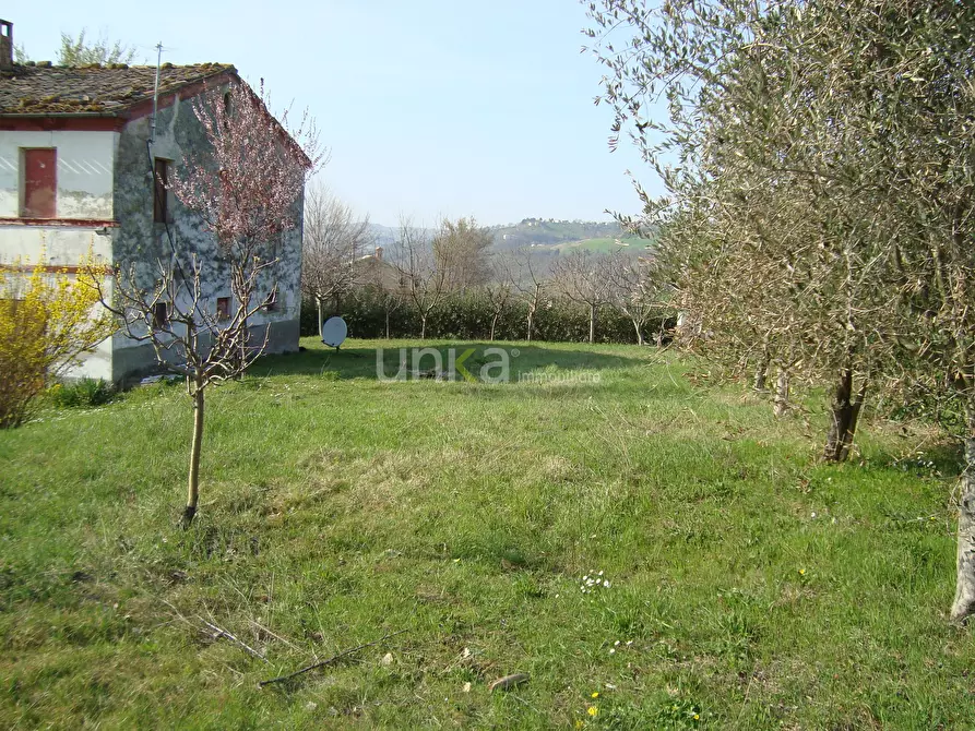 Immagine 10 di Casa indipendente in vendita  in via Barchio 2 a Cupramontana