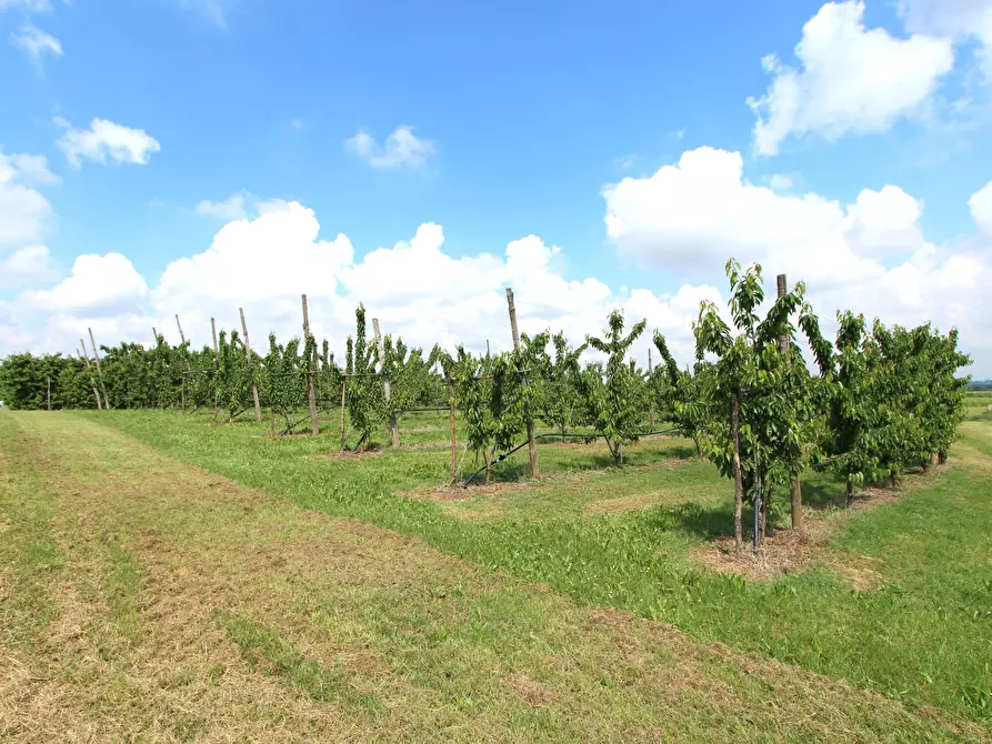 Immagine 15 di Porzione di casa in vendita  in Via San Francesco a Valsamoggia