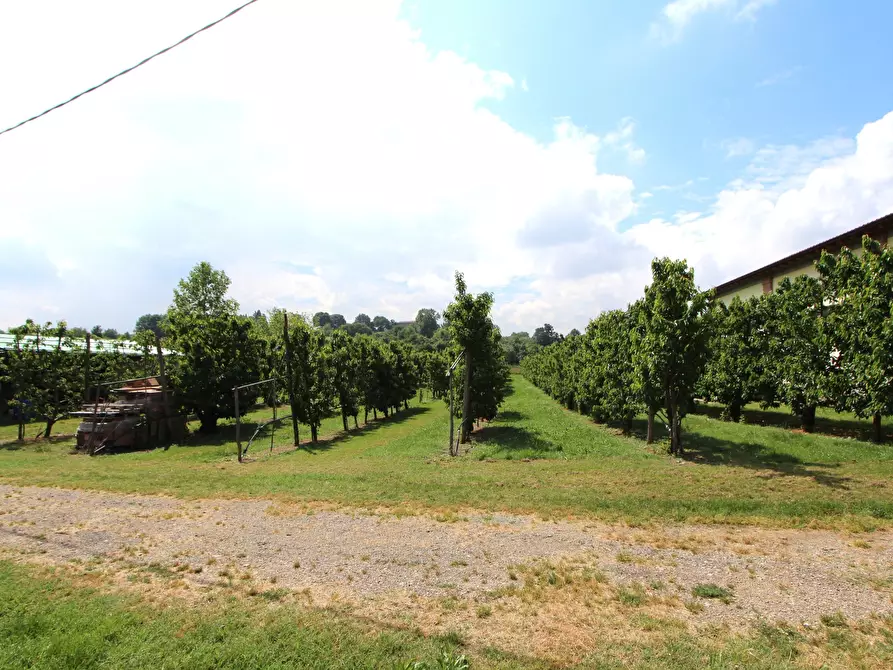 Immagine 2 di Terreno agricolo in vendita  in Via San Francesco a Valsamoggia