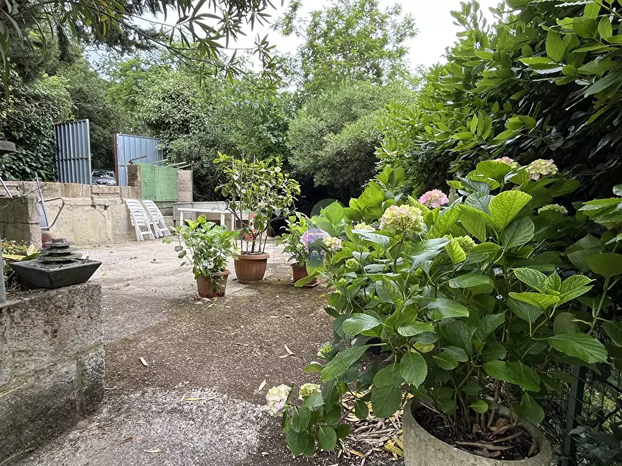 Immagine 5 di Terreno agricolo in vendita  in Via di Popogna 441 a Livorno