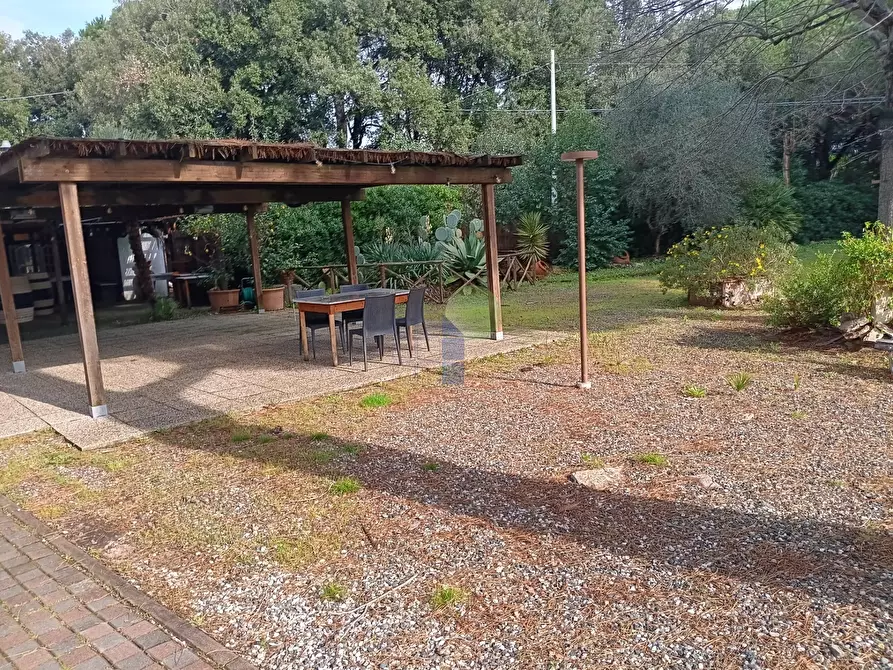 Immagine 2 di Bar / Ristorante in vendita  in Via Aurelia Nord a Cecina