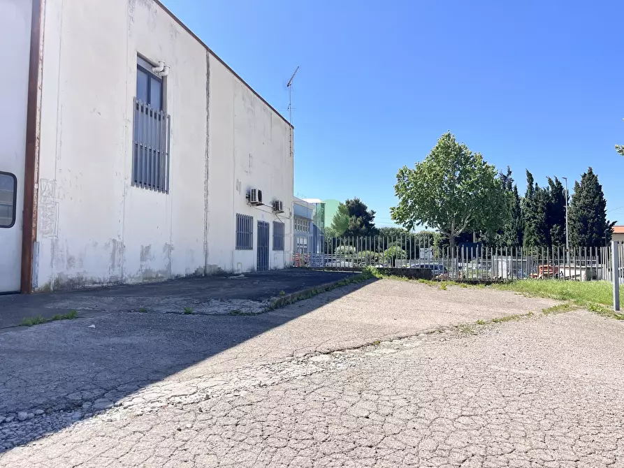Immagine 16 di Capannone industriale in vendita  in Via per Rosignano 11 a Rosignano Marittimo