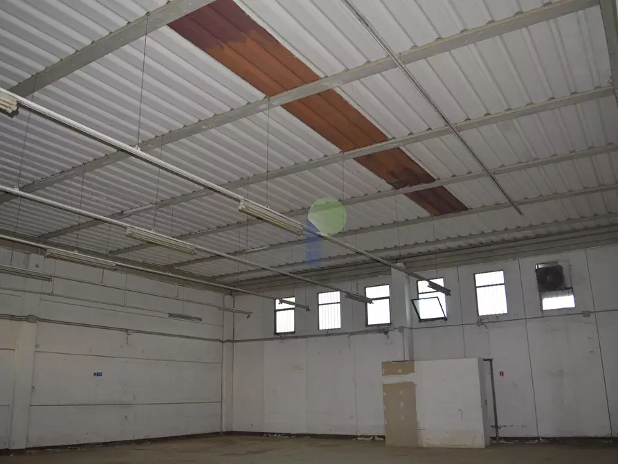 Immagine 12 di Capannone industriale in affitto  in Via Aurelia 76 a Collesalvetti