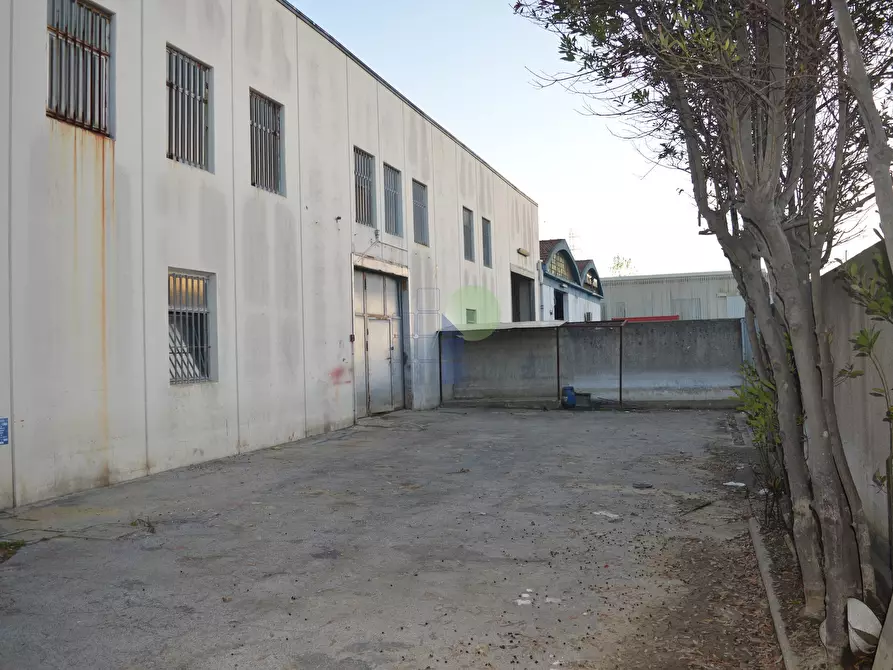 Immagine 14 di Capannone industriale in affitto  in Via Aurelia 76 a Collesalvetti
