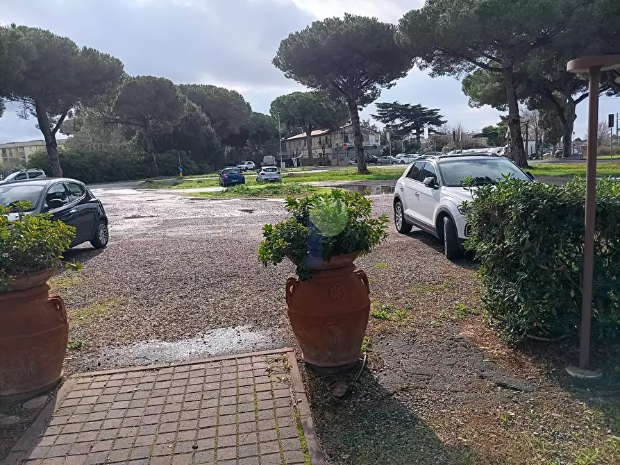 Immagine 3 di Bar / Ristorante in vendita  in Via Aurelia Nord a Cecina
