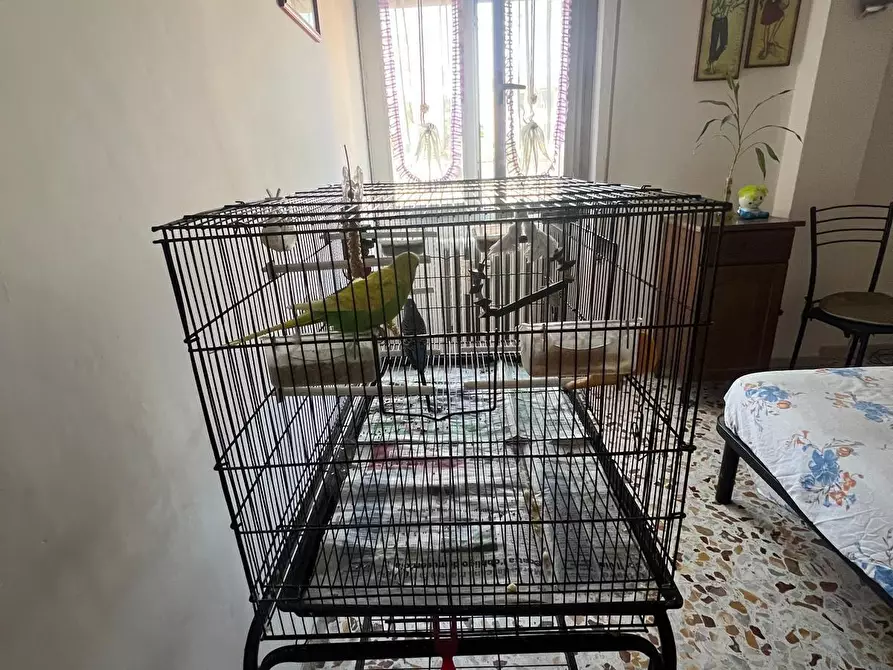 Immagine 14 di Quadrilocale in vendita  in Via Carlo del Greco a Firenze