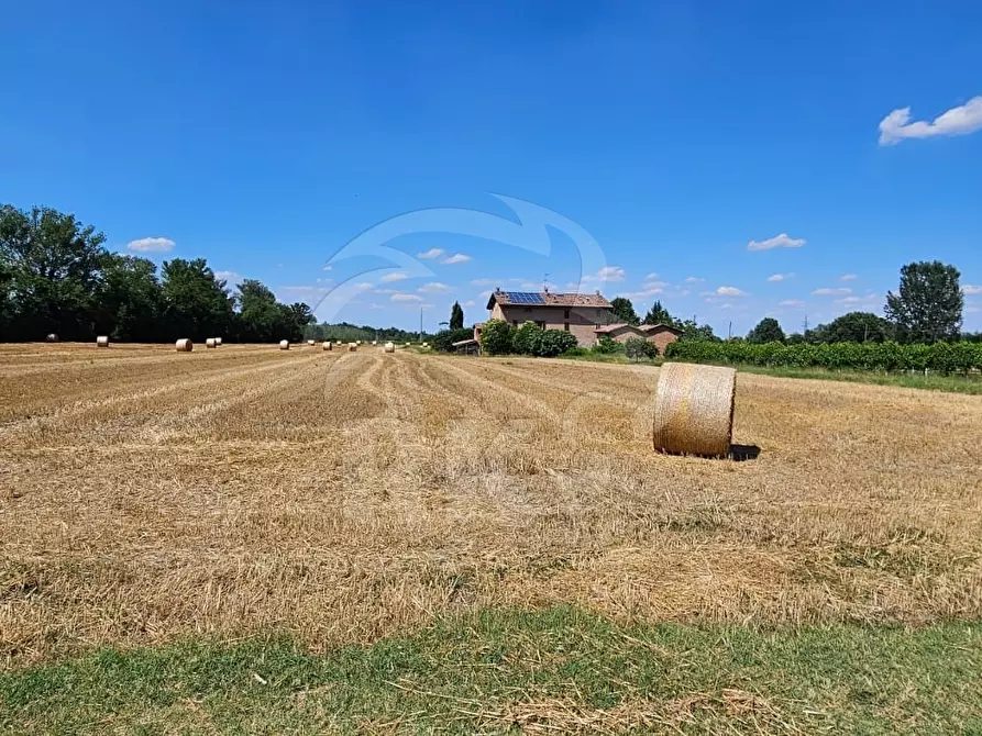 Immagine 27 di Rustico / casale in vendita  a Valsamoggia