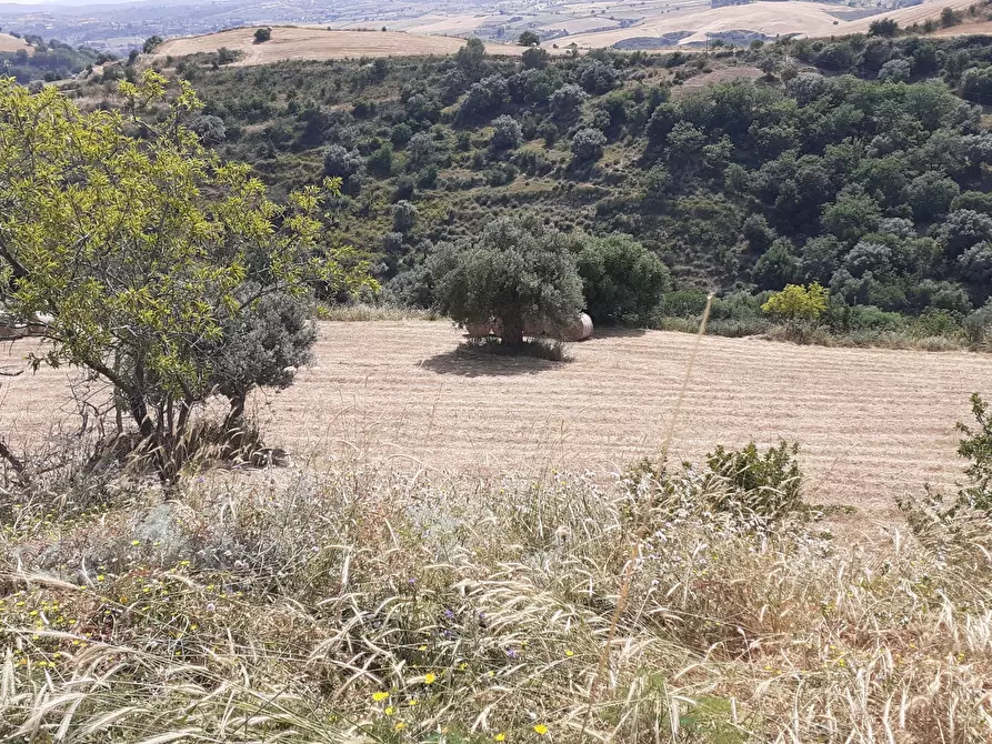 Immagine 45 di Terreno agricolo in vendita  in c.da Poi a Palazzolo Acreide