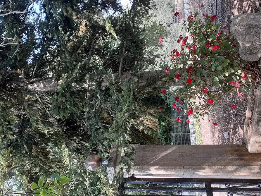 Immagine 54 di Rustico / casale in vendita  in Strada Provinciale 24 21 a Noto