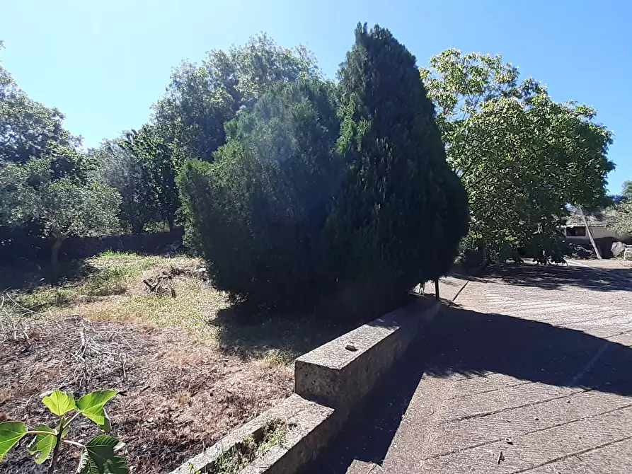 Immagine 28 di Rustico / casale in vendita  in Strada Provinciale 24 21 a Noto