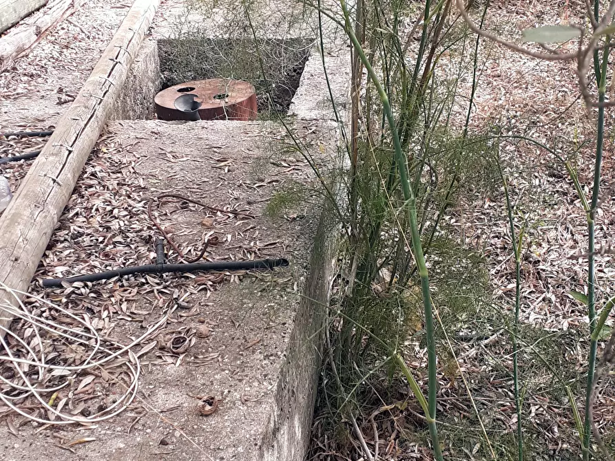 Immagine 19 di Terreno agricolo in vendita  in Strada Provinciale 14 5 a Noto