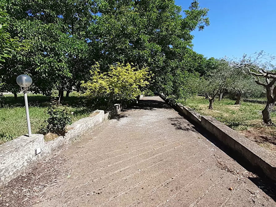Immagine 40 di Rustico / casale in vendita  in Strada Provinciale 24 21 a Noto
