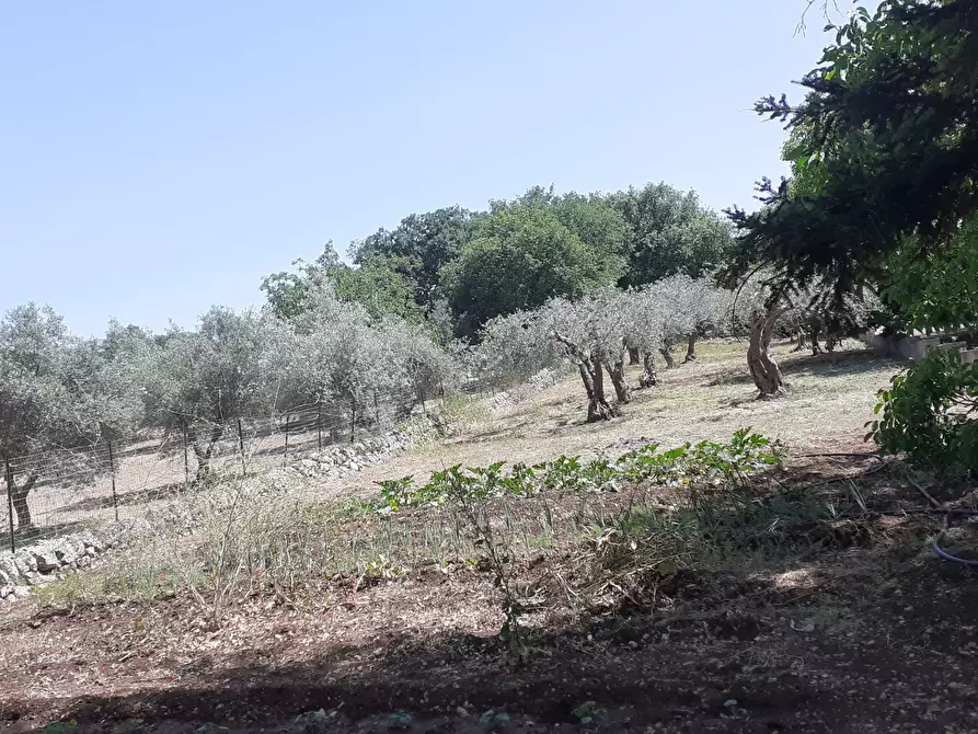 Immagine 49 di Rustico / casale in vendita  in Strada Provinciale 24 21 a Noto
