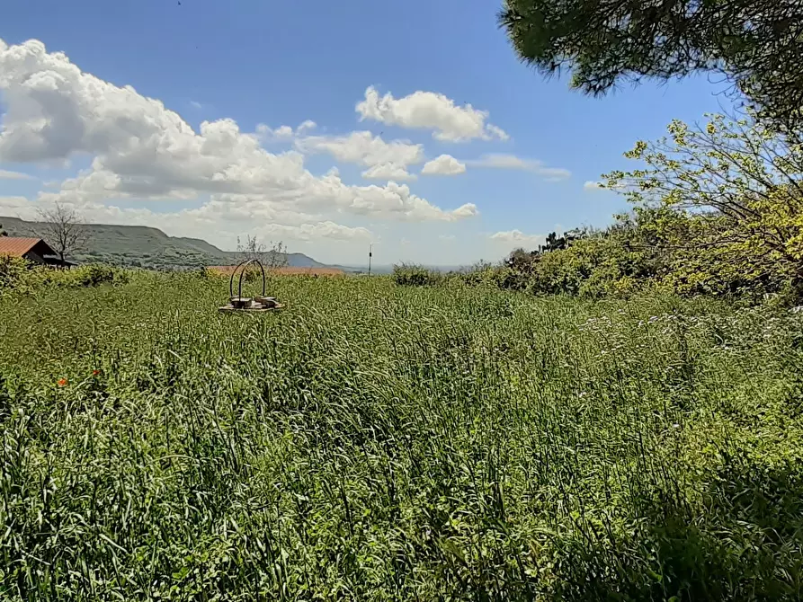 Immagine 27 di Terreno agricolo in vendita  in c.da Poi a Palazzolo Acreide