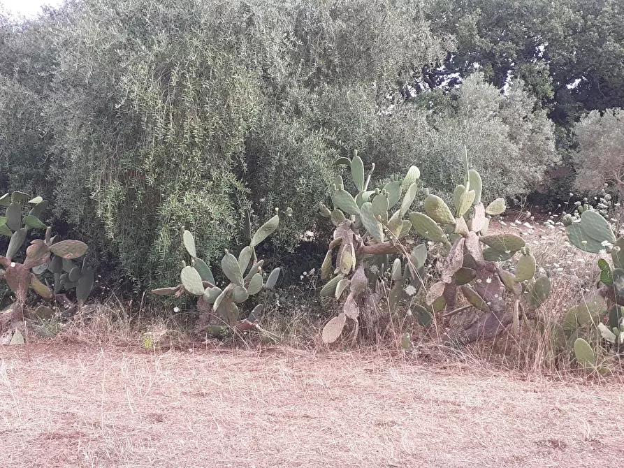 Immagine 72 di Villetta a schiera in vendita  in Via Acre 19 a Palazzolo Acreide