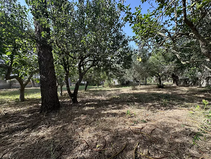 Immagine 6 di Villa in vendita  a Mazara Del Vallo