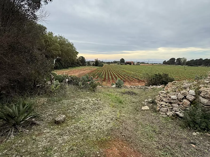 Immagine 21 di Casa indipendente in vendita  in SP286 102 a Nardo'