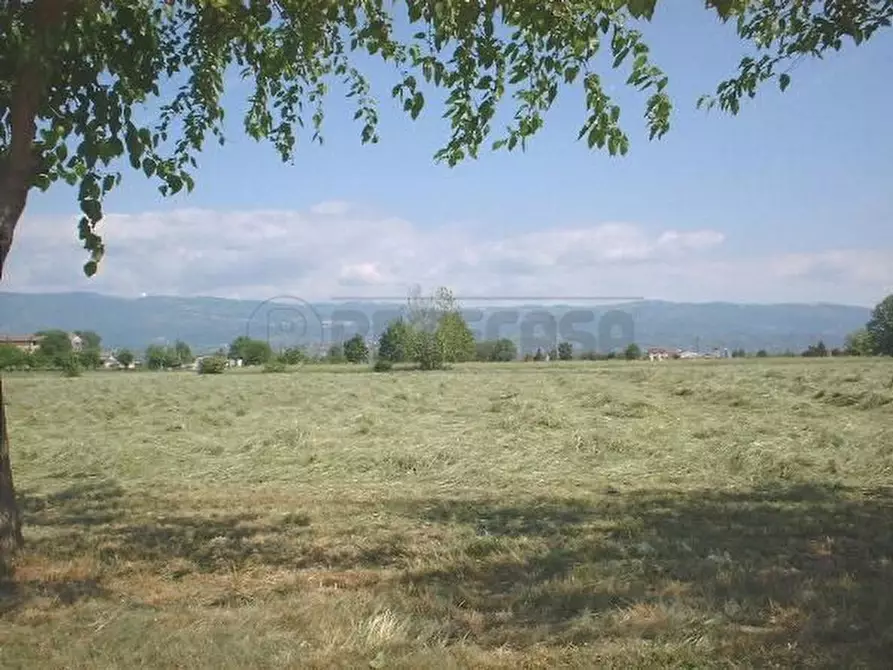 Immagine 1 di Terreno agricolo in vendita  in VIA PALAZZON a Bolzano Vicentino
