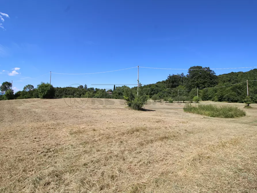 Immagine 11 di Rustico / casale in vendita  in Via Arcisi 8 a Val Liona